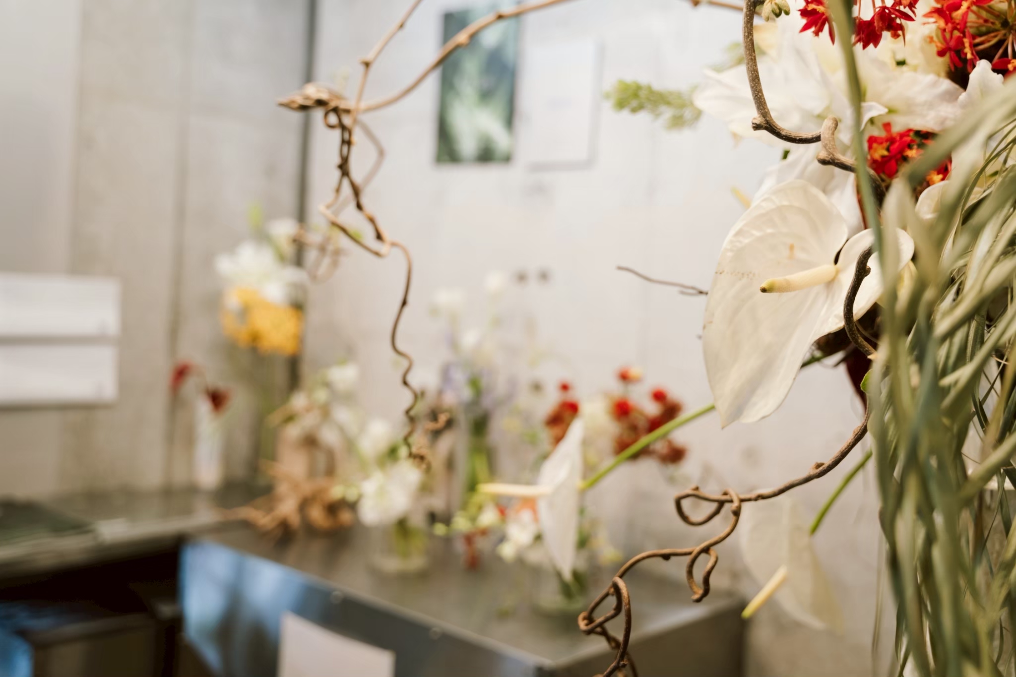 White anthurium and dried branches