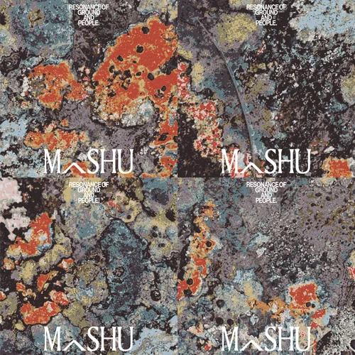 MASHU brand identity — pattern system