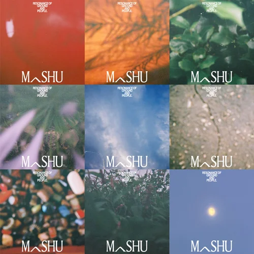 MASHU brand identity — mood grid