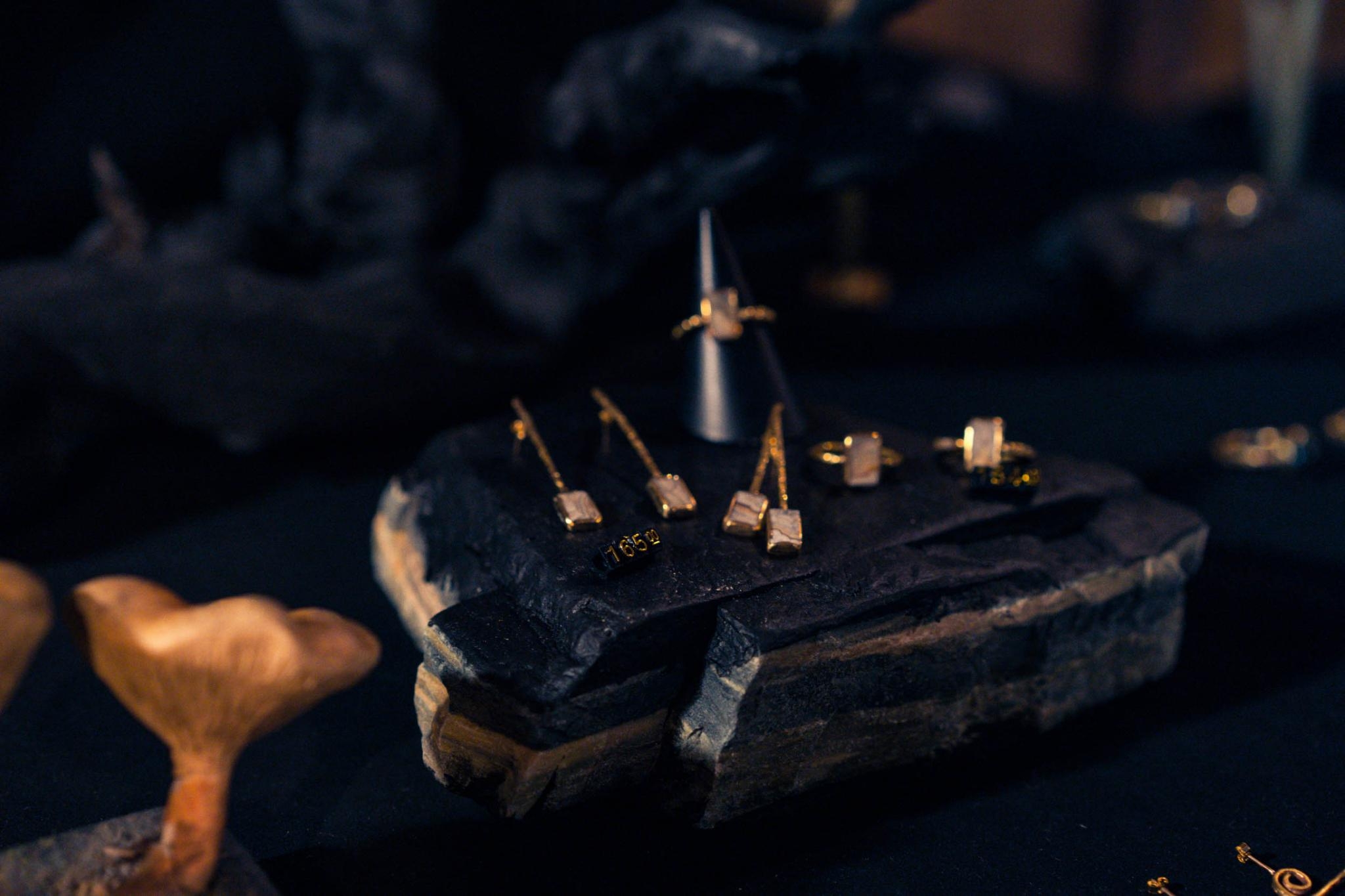 Earrings and rings on charred wood, with a mushroom ornament